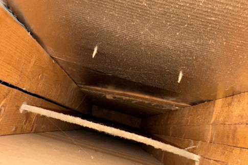 Cruz Dryer Vent Service air duct cleaning